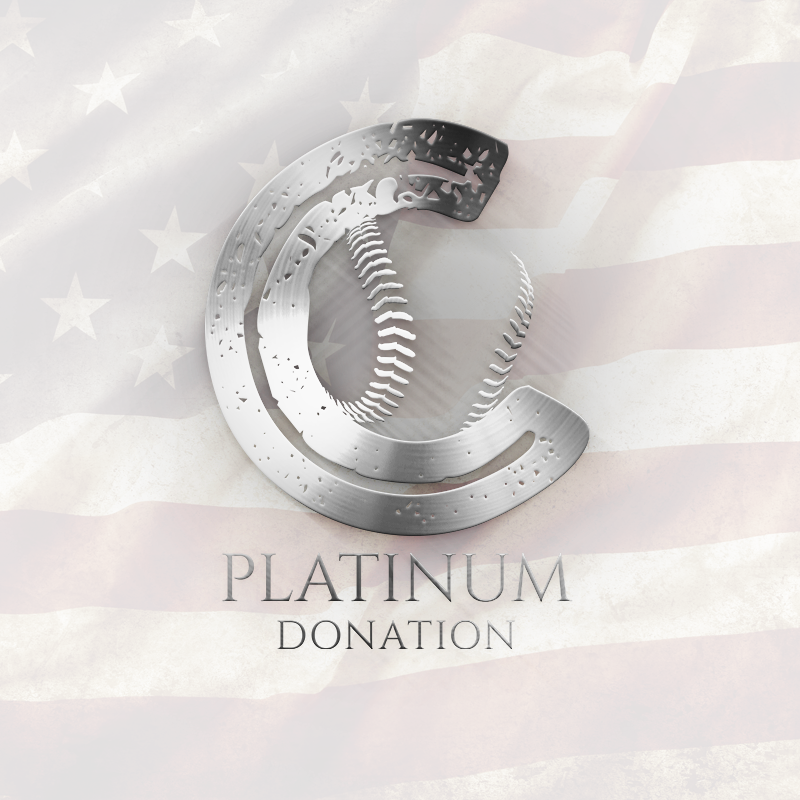 Platinum Donation