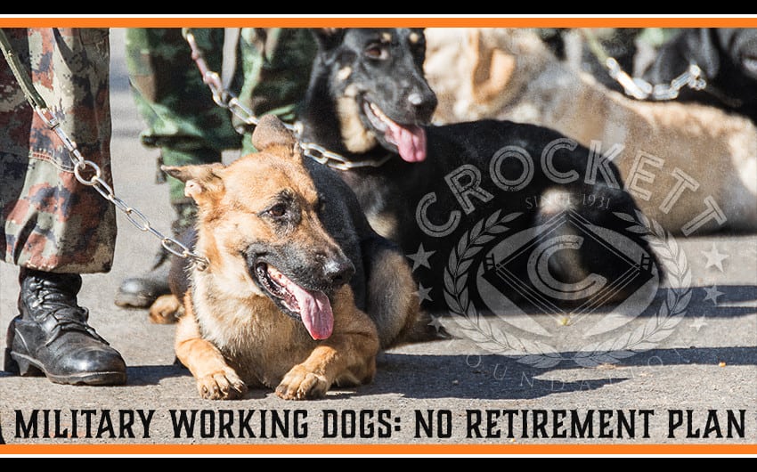 Service Dogs No Retirement Plan