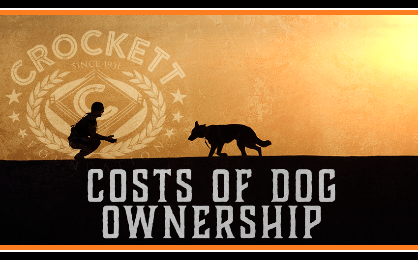 Cost Dog Ownership