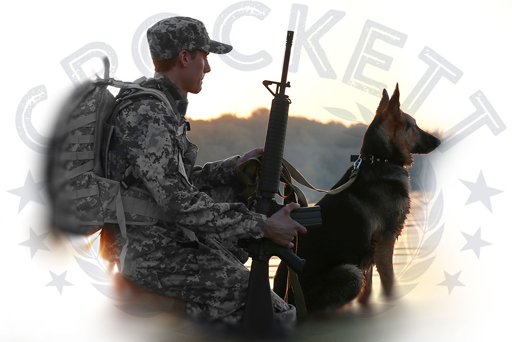 Veteran and Service Dog